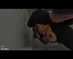 Thumb 10
